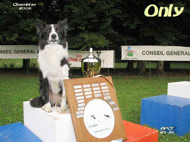 CH. Only (Sans Affixe)